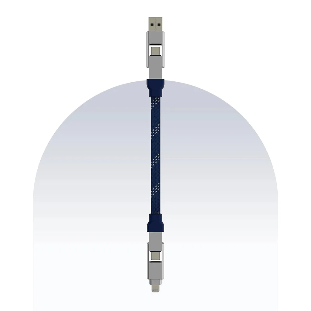 4 in 1 65W Payal Singhal Edition Cable 1 Ft