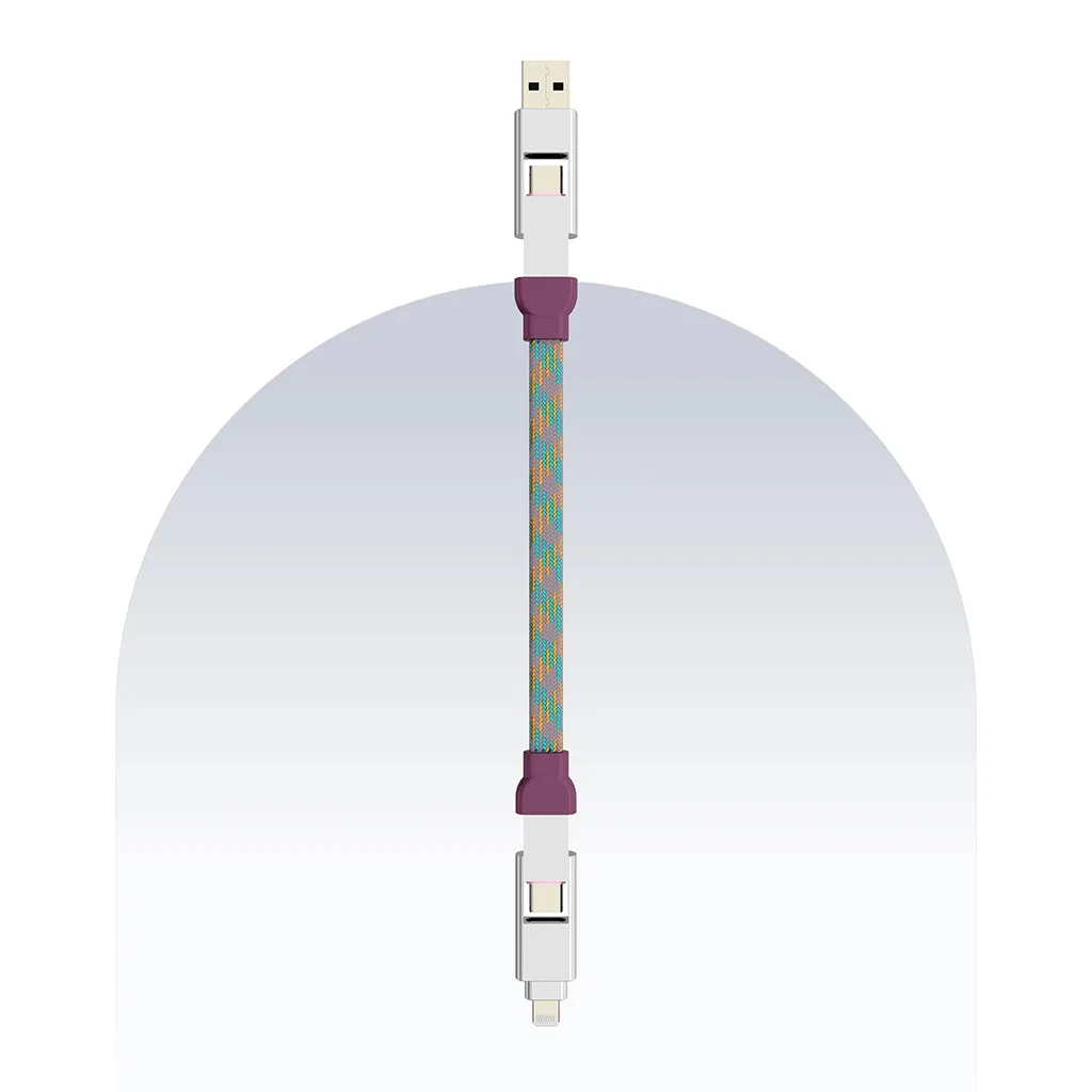4 in 1 65W Payal Singhal Edition Cable 1 Ft