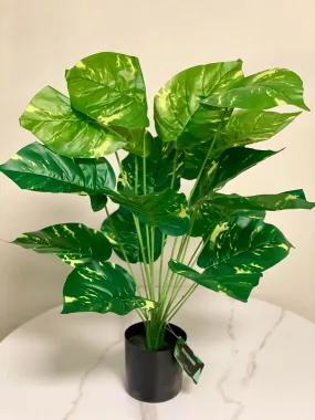 Artificial plant - 28" (Devil's Ivy plant)
