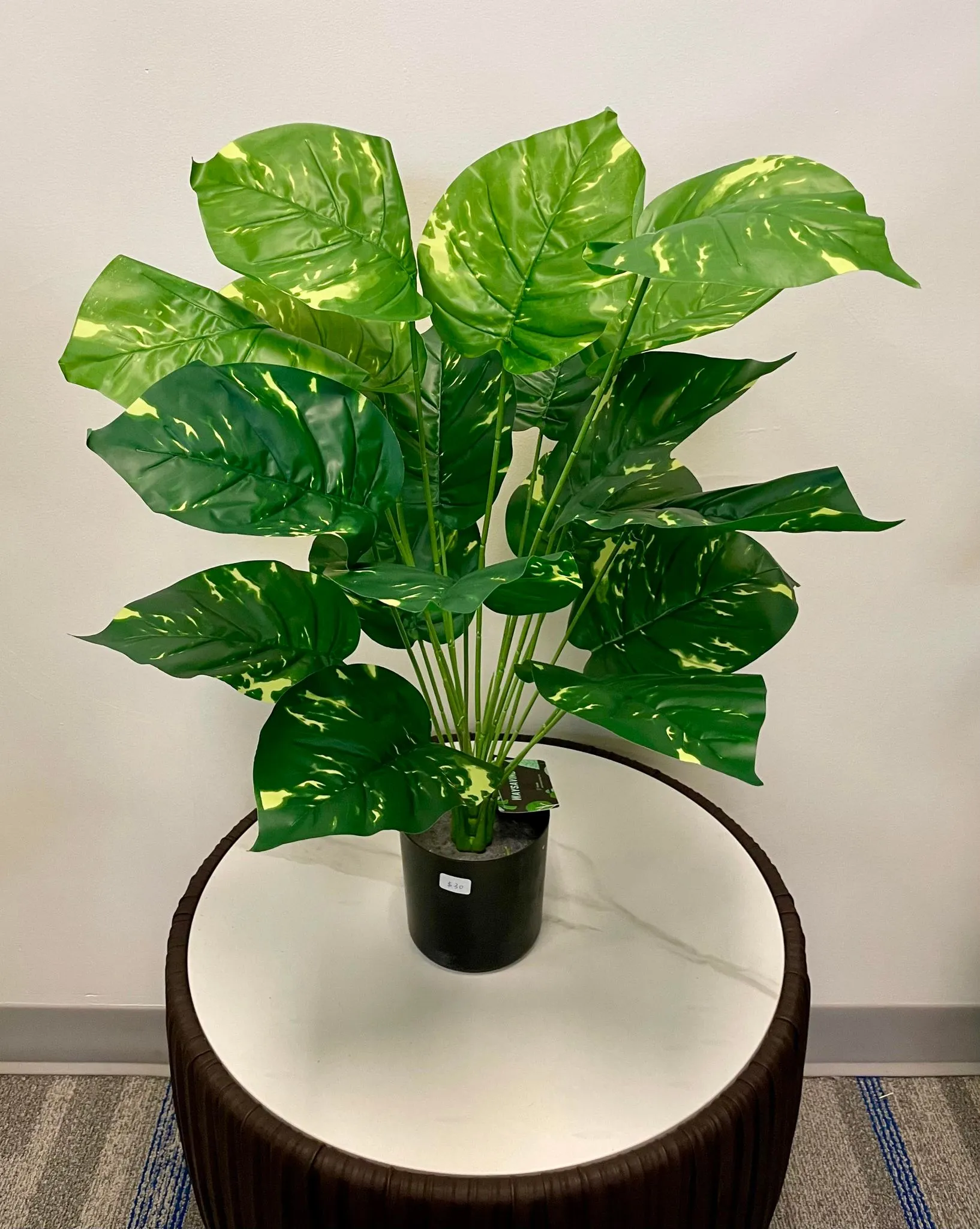 Artificial plant - 28" (Devil's Ivy plant)