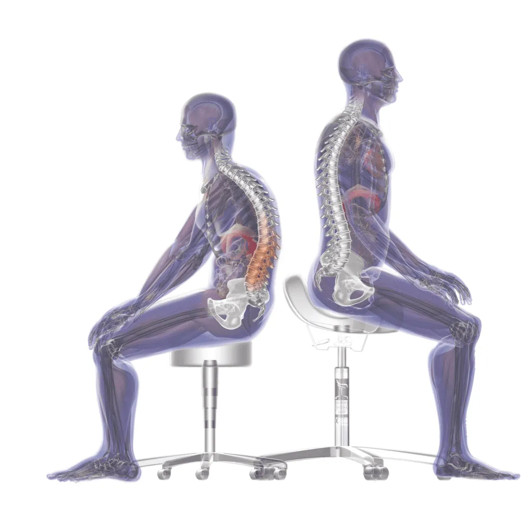 Bambach Ergonomic Saddle Stool - Back Rest and Swing Arm