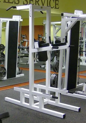 Dip/Chin/Ab/Push-Up 3153