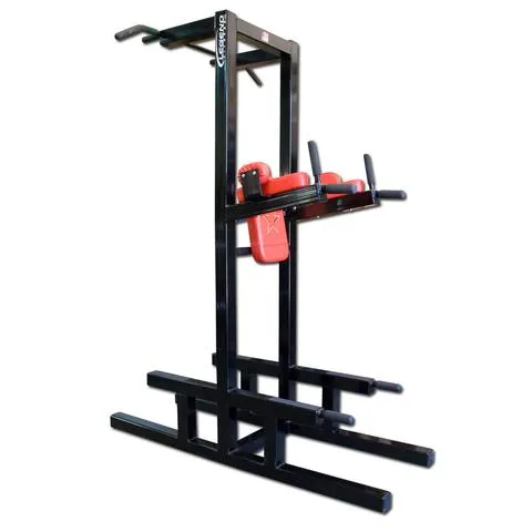 Dip/Chin/Ab/Push-Up 3153