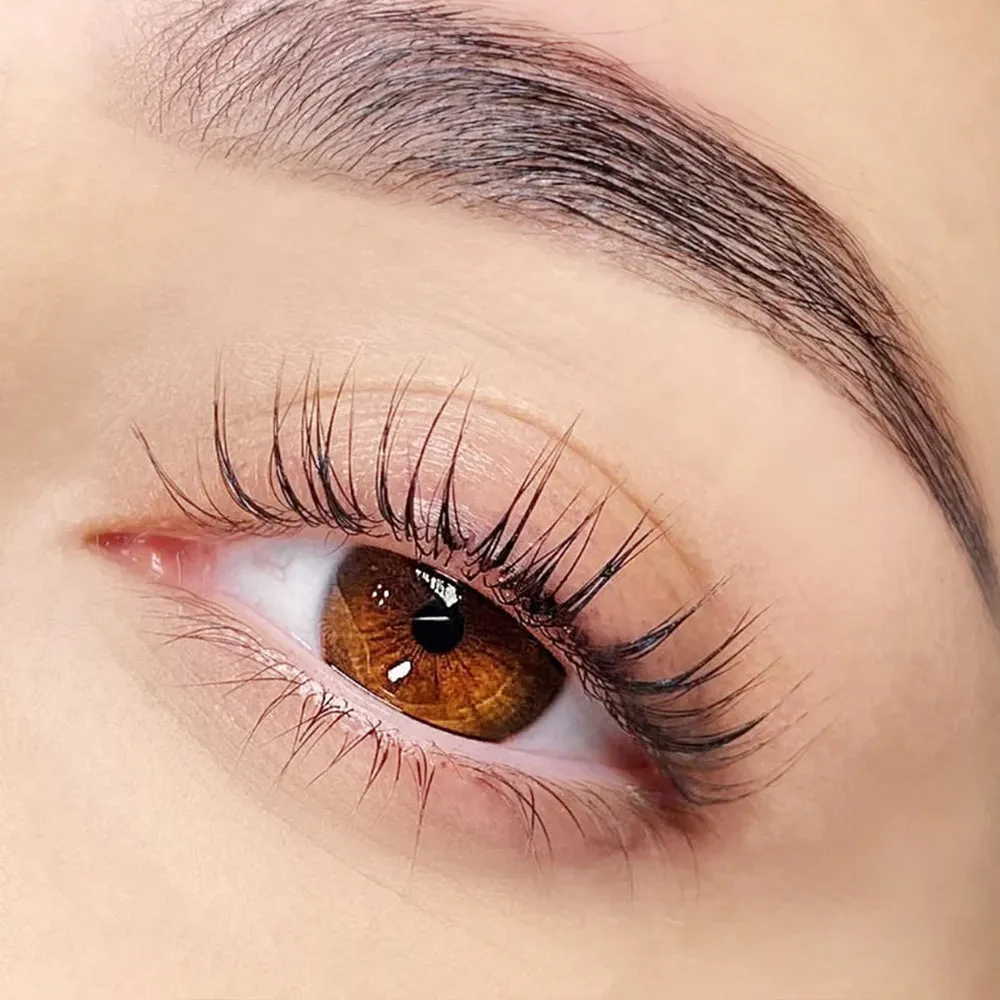 DLUX Pro Lash Lift Silicone Shields - 8 styles