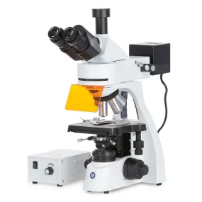 Euromex bScope Series Trinocular Compound Microscope 40X-1000X Magnification with Epi-Fluorescence (Blue, Green, Violet, and Ultra-violet)