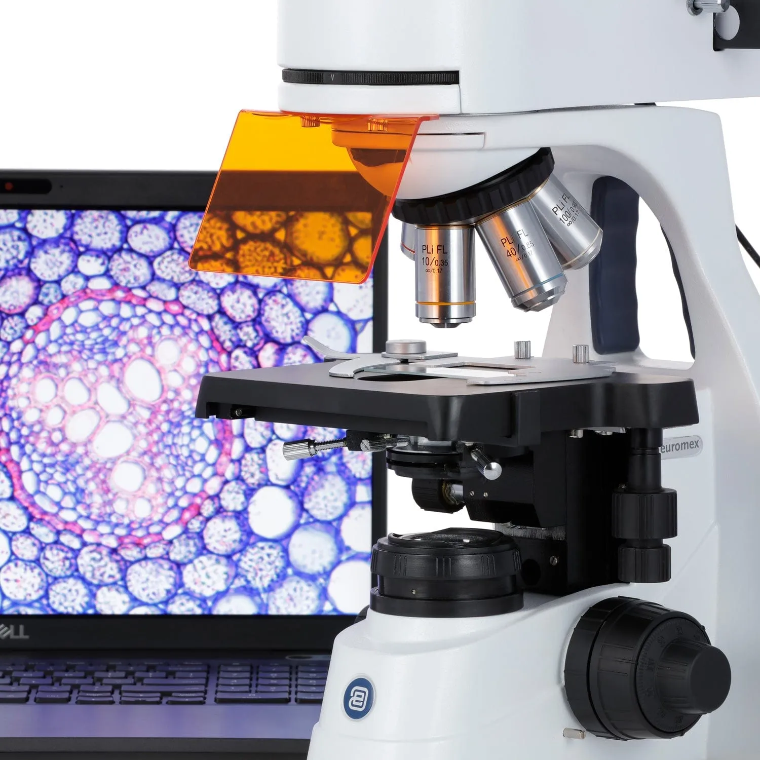 Euromex bScope Series Trinocular Compound Microscope 40X-1000X Magnification with Epi-Fluorescence (Blue, Green, Violet, and Ultra-violet)
