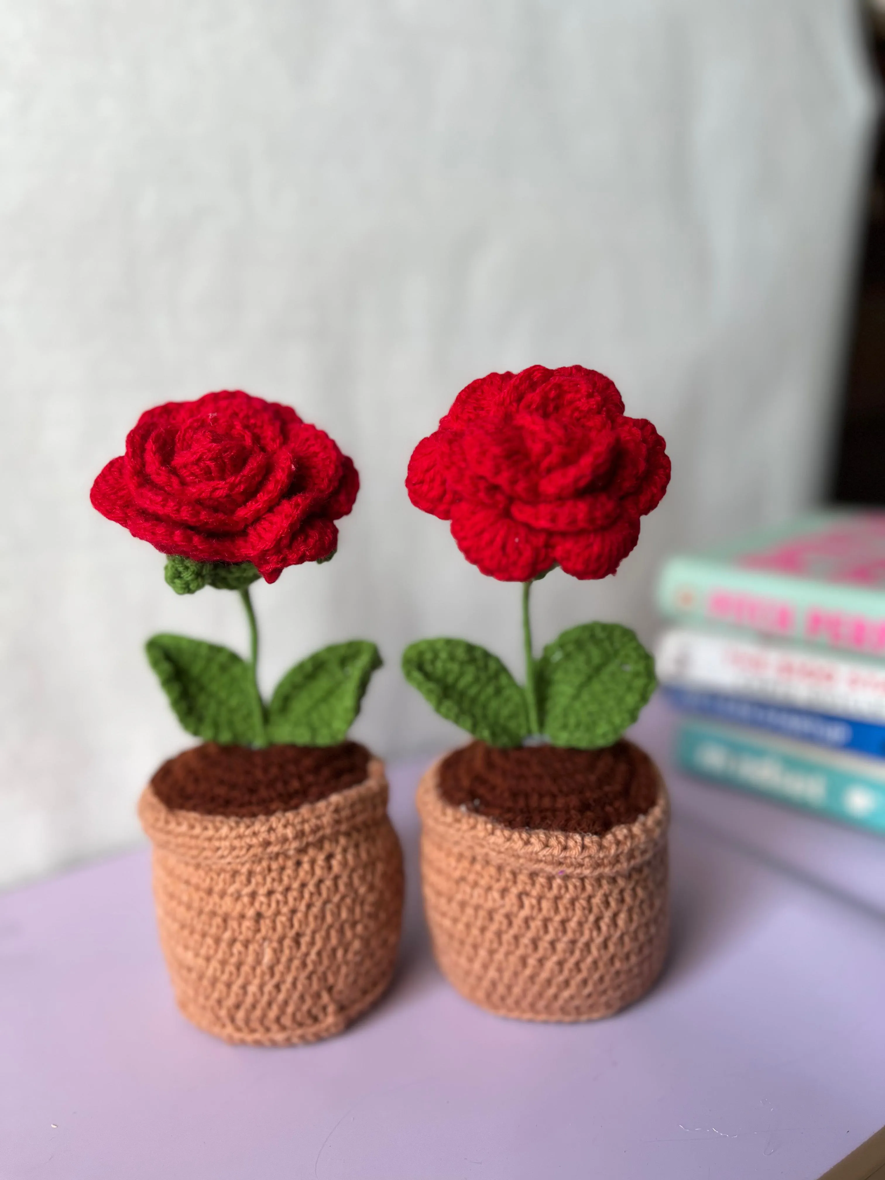 Ishmades Crochet rose pot