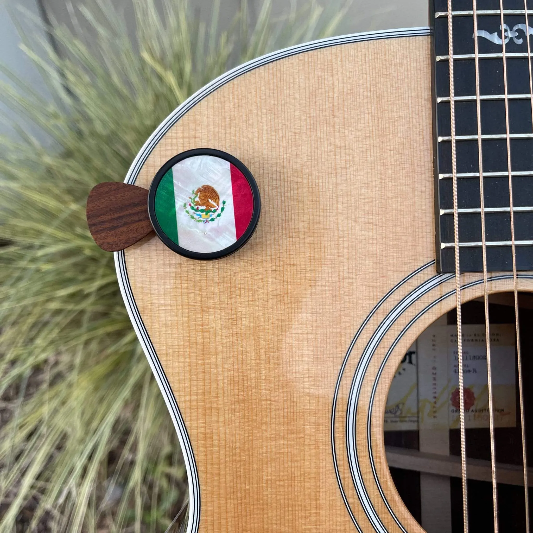 Mexican Flag | Pick Puck 2.0