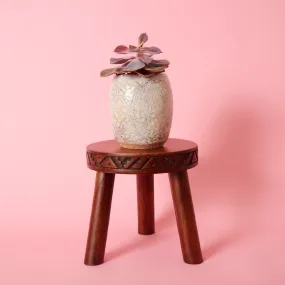 Short Dark Wood Indoor Plant Stand