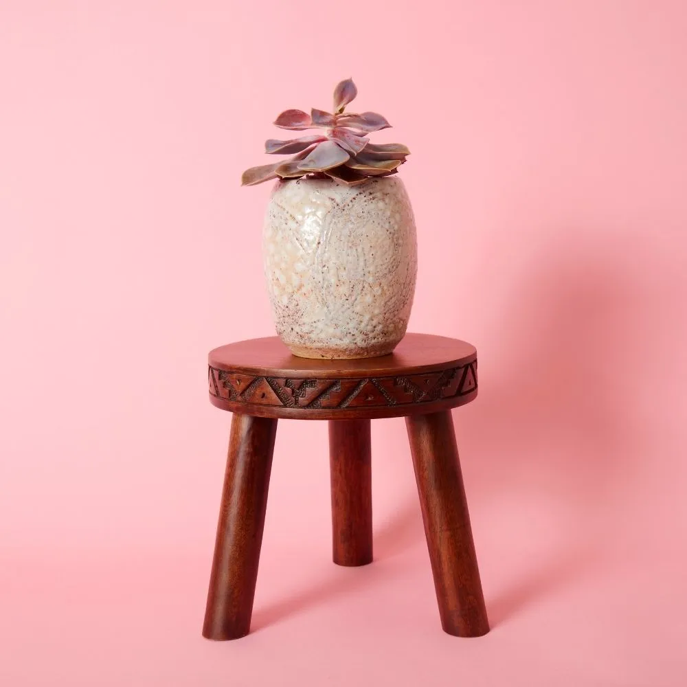 Short Dark Wood Indoor Plant Stand