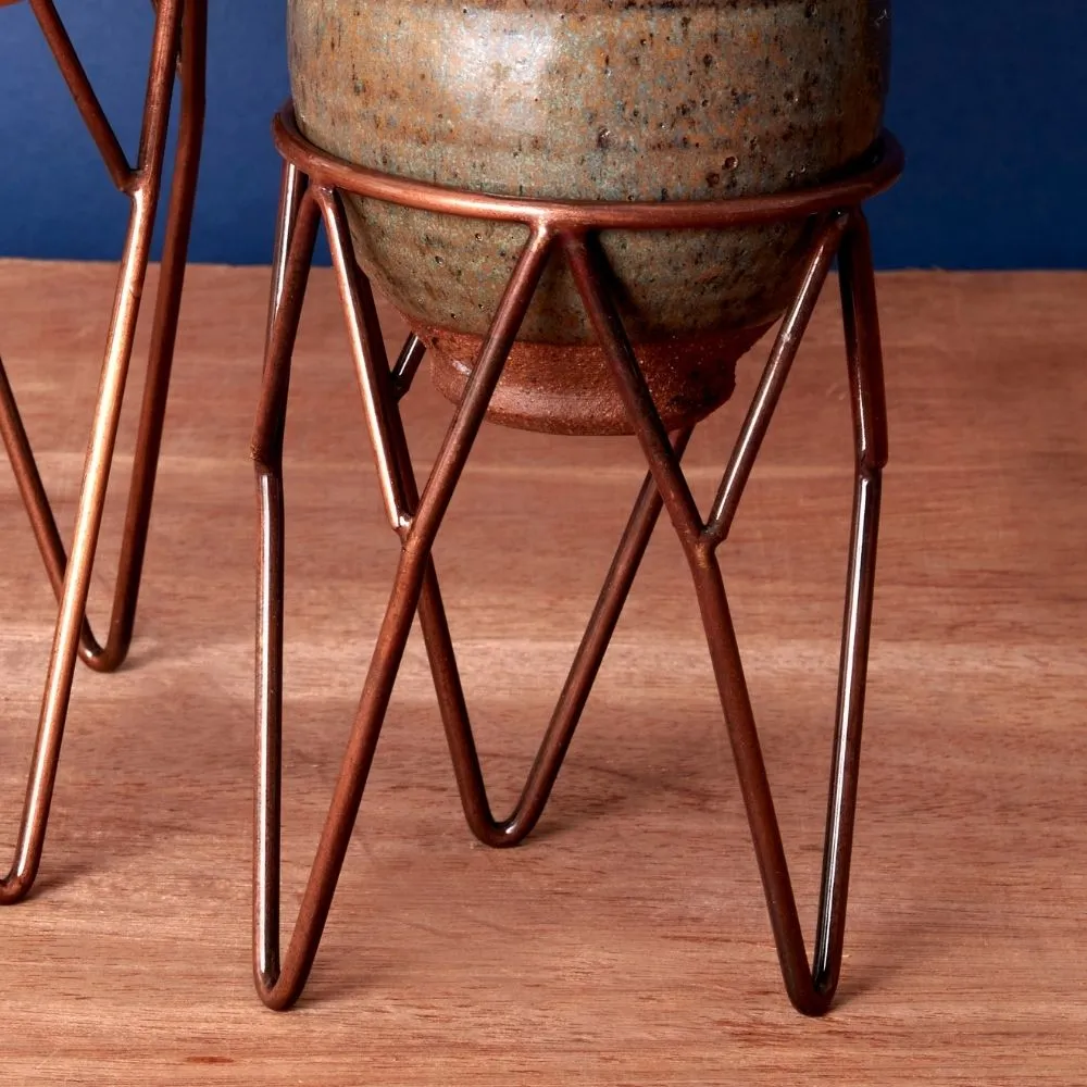 Short Iron Wire Plant Stand Set