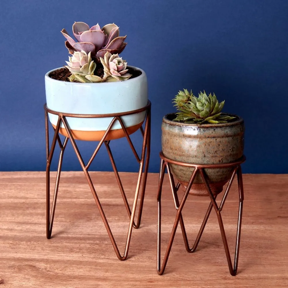 Short Iron Wire Plant Stand Set