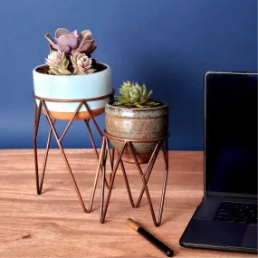 Short Iron Wire Plant Stand Set