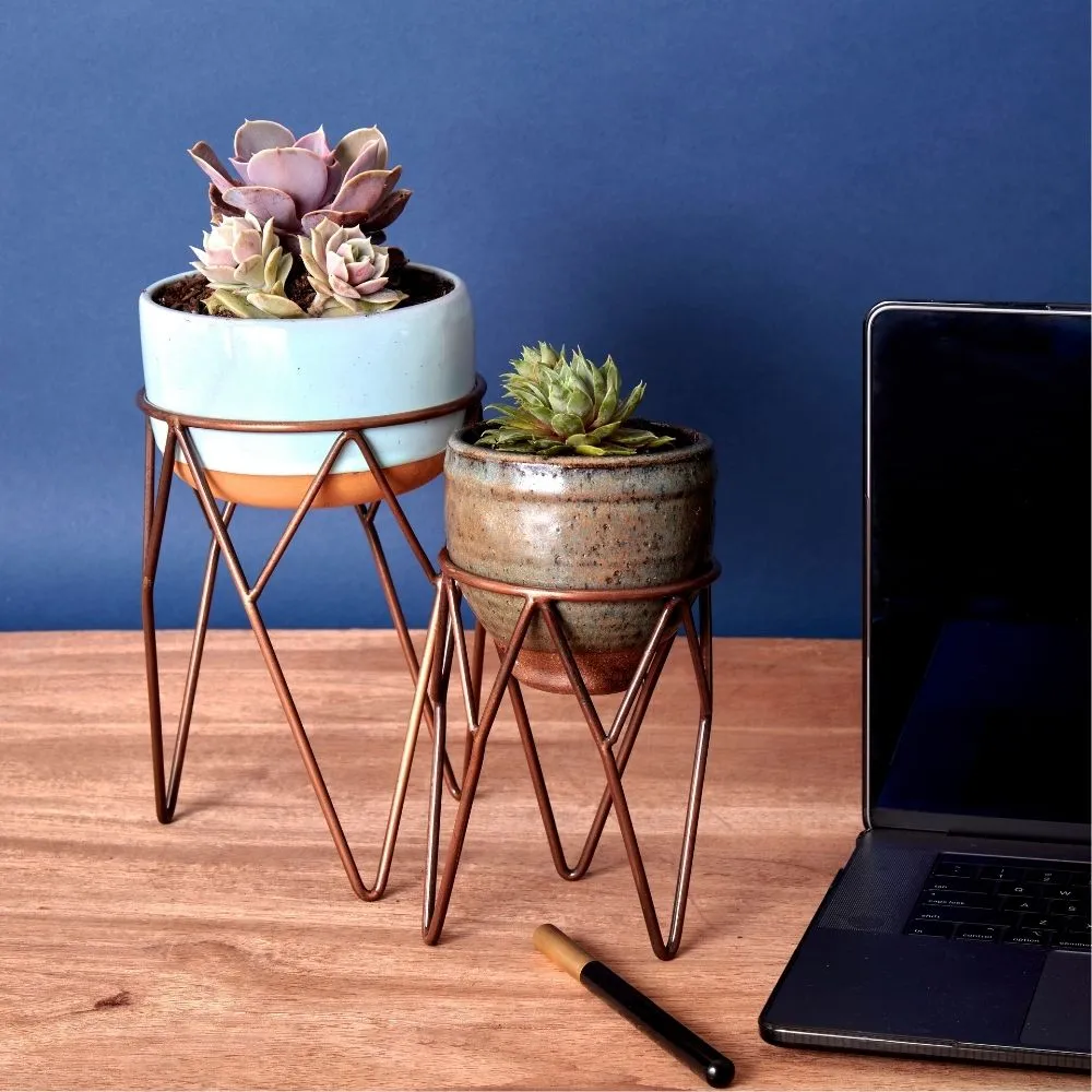 Short Iron Wire Plant Stand Set