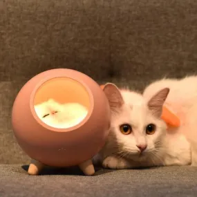 Sleeping Cat House Night Light