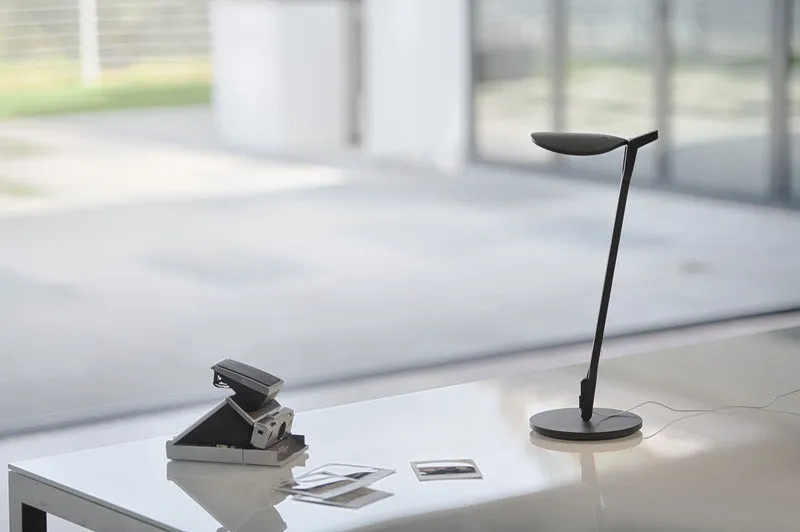 Splitty Desk Lamp