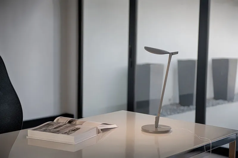 Splitty Desk Lamp
