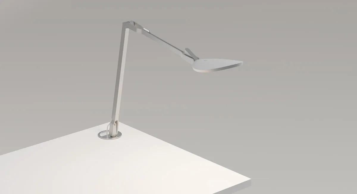 Splitty Reach Desk Lamp