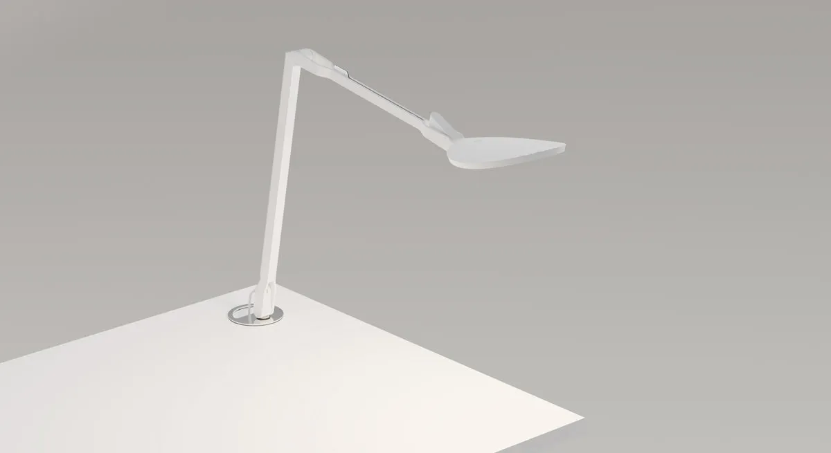 Splitty Reach Desk Lamp