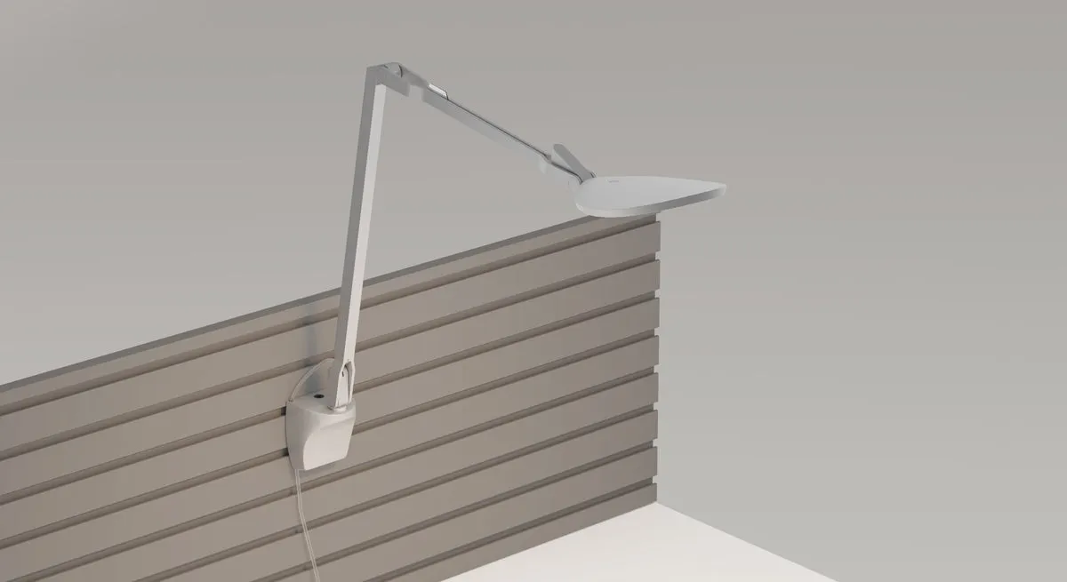 Splitty Reach Wall Mount Lamp