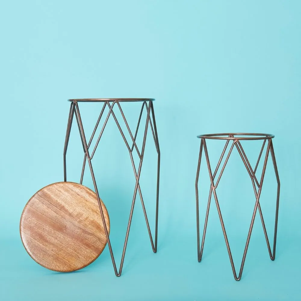 Tall Iron Wire Plant Stand Set